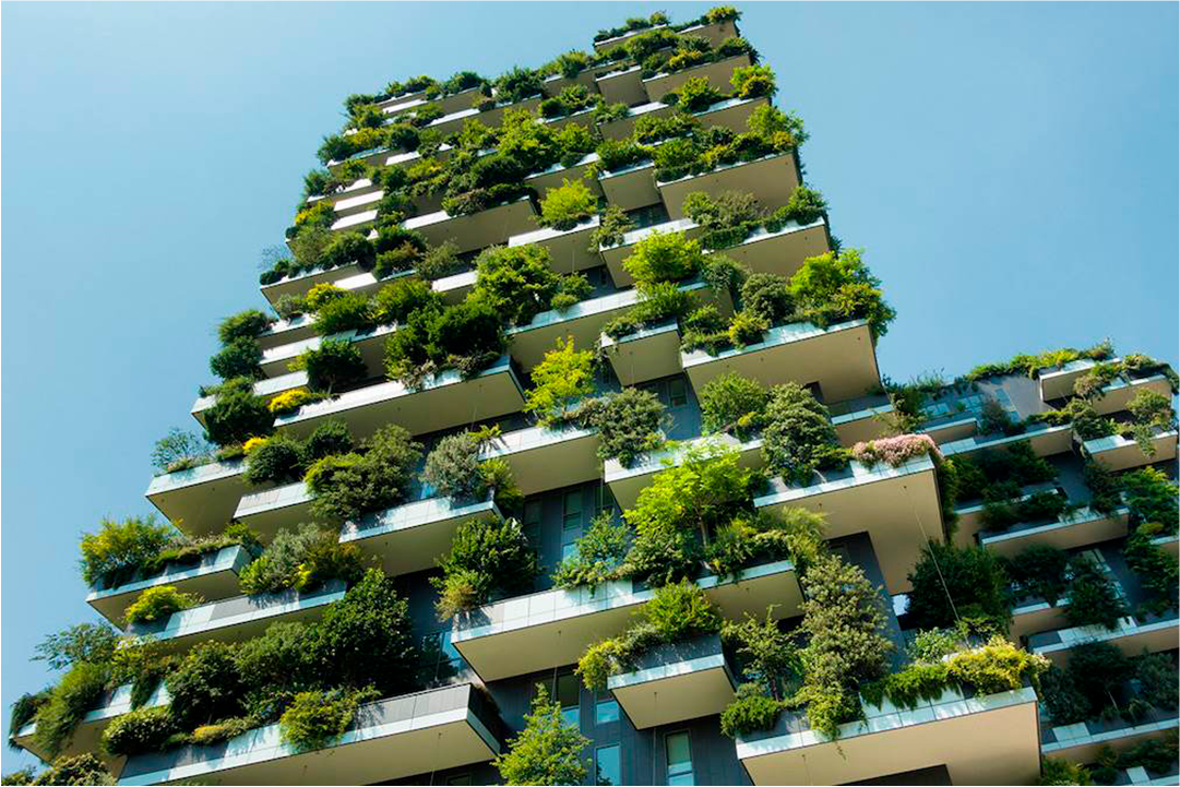 Construcción sostenible: estrategia para un futuro amigable con el Medio Ambiente